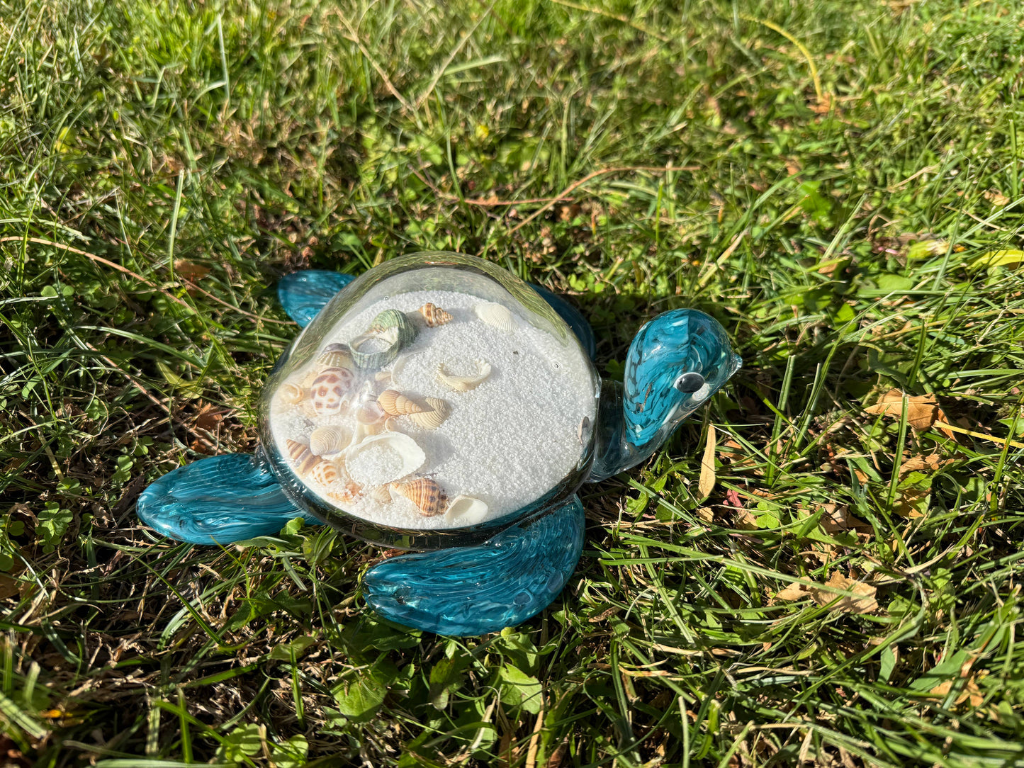 Art Glass Sea Turtle with Sand and Sea Shell: Teal