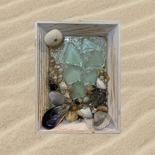 Sandscape with Urchin