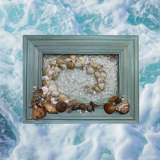 Medium Shell Wave